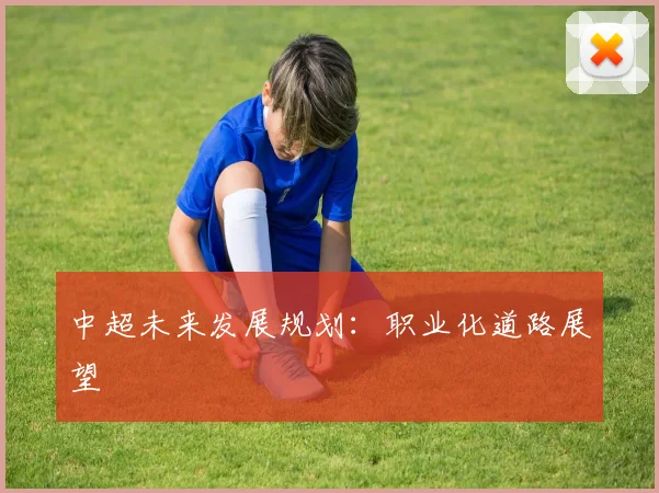 中超未来发展规划：职业化道路展望